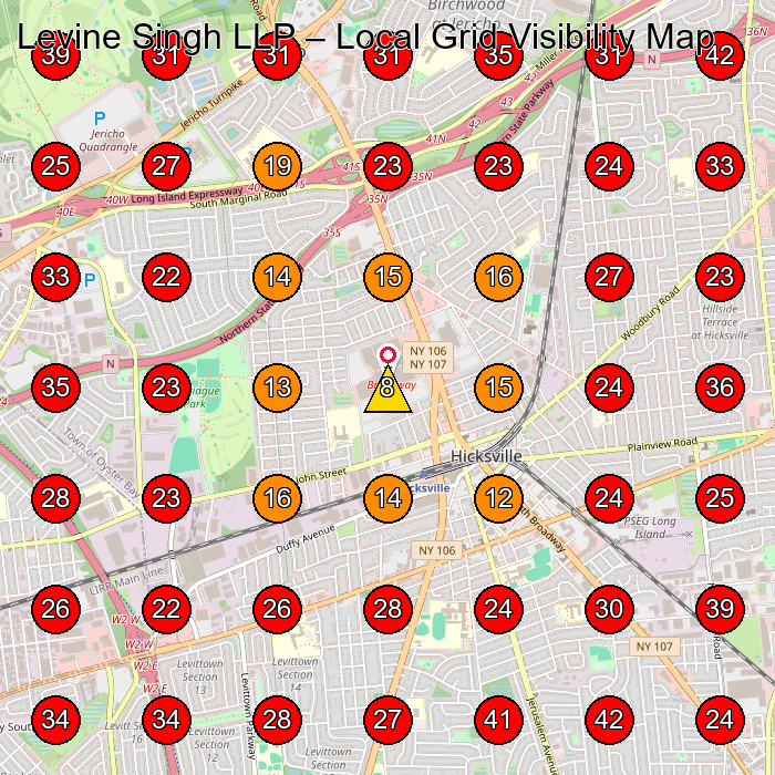 Levine Singh LLP GeoGrid visibility map for Law Firm in Syosset